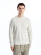 Crew Neck Long Sleeve Men's Tricot Sweater